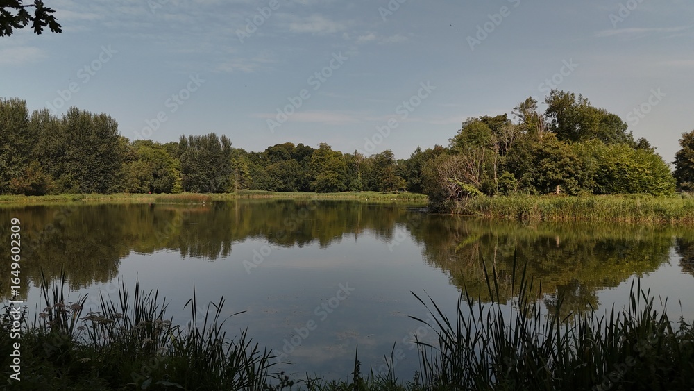 Fototapeta premium Templemore Demesne