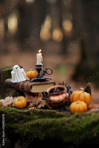 decorative pumpkins, ghost figurine, spell books, candle, magic cauldron in autumn forest. mystery fairy tale scene. samhain, Halloween holidays. Witchcraft, esoteric spiritual ritual. witch aesthetic