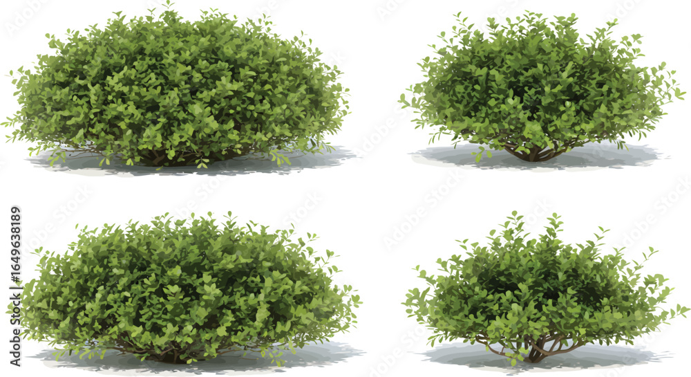 Fototapeta premium Diverse selection of lush green shrubs and vibrant plants, perfect for architectural visualization and outdoor landscaping projects.