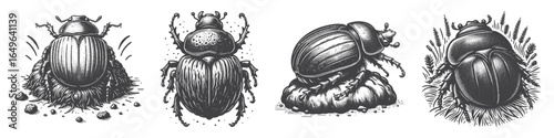 Vintage Hand-Drawn Dung Beetle Illustration, Insect Engraved Vector for Garden and T-Shirt Design