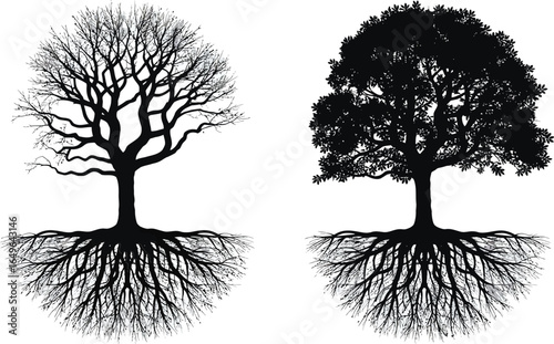 Two Trees with Roots Bare and Full Foliage Illustration