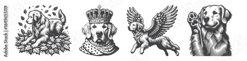 Vintage Hand-Drawn Golden Retriever with Wings Illustration, Pet Engraved Vector for Fantasy and T-Shirt Design