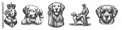 Vintage Hand-Drawn Golden Retriever With Owner Illustration, Heartwarming Engraved Vector for Pets and T-Shirt Design
