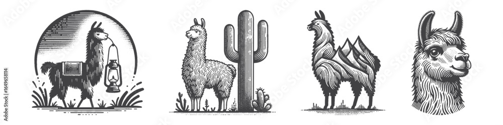 Obraz premium Vintage Hand-Drawn Llama With Cactus Illustration, Desert Animal Engraved Vector for Farm and T-Shirt Design