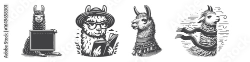 Vintage Hand-Drawn Llama Wearing Scarf Illustration, Animal Engraved Vector for Winter and T-Shirt Design