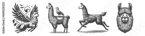 Vintage Hand-Drawn Llama Jumping Illustration, Animal Engraved Vector for Fun and T-Shirt Design