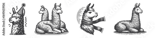 Vintage Hand-Drawn Llama Family Illustration, Animal Engraved Vector for Farm and T-Shirt Design