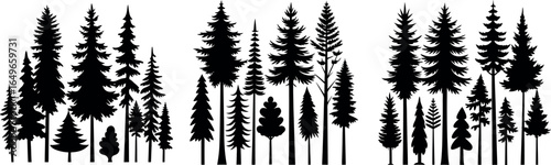 Elegant Pine Tree Silhouette in Black and White – Symmetrical Layered Branch Design