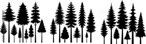 Elegant Pine Tree Silhouette in Black and White – Symmetrical Layered Branch Design