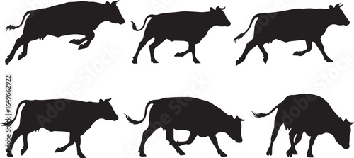 Vector art of collection of six black silhouettes of cows in various poses, isolated on a white background, showcasing different movements and stances of these farm animals