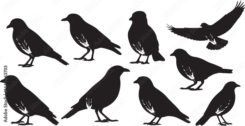 Fototapeta premium Vector art of collection of black bird silhouettes isolated on white background, featuring various poses including standing and flying, representing wildlife and nature