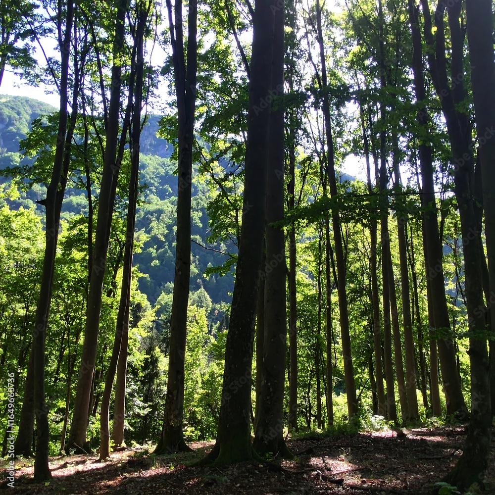 Naklejka premium Lush forest scene