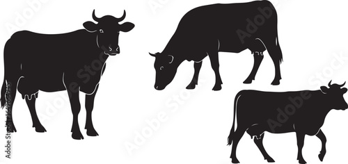 Vector art of three black cow silhouettes isolated on white background, representing farm animals and livestock