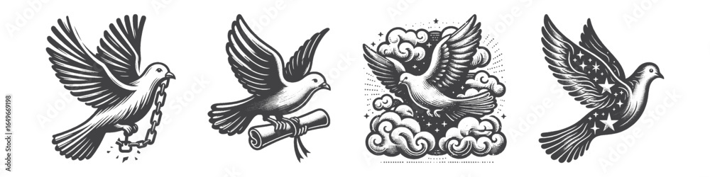 Fototapeta premium Vintage Hand-Drawn Dove With Letter Illustration, Peaceful Bird Engraved Vector for Nature and T-Shirt Design
