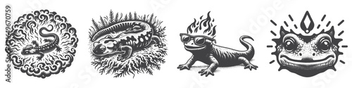 Vintage Hand-Drawn Fire Salamander Head Illustration, Colorful Amphibian Engraved Vector for Nature and T-Shirt Design