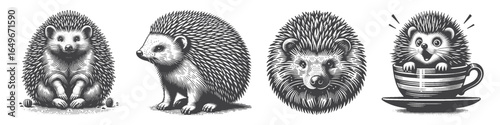 Vintage Hand-Drawn Hedgehog On Coffee Cup Illustration, Cute Animal Engraved Vector for Nature and T-Shirt Design