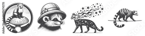 Vintage Hand-Drawn Genet Walking On Rope Illustration, Wildlife Animal Engraved Vector for Circus and T-Shirt Design