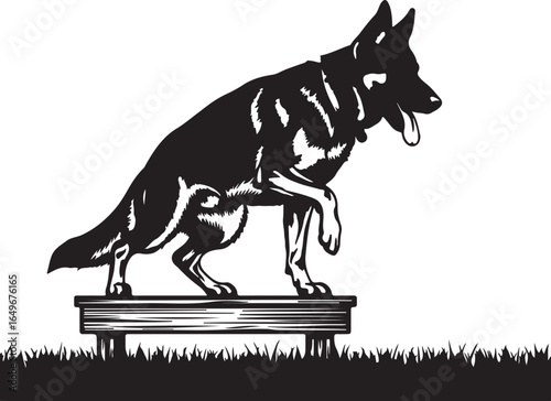 Shepherd dog on bench training silhouette vector graphic