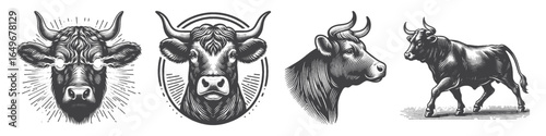 Vintage Hand-Drawn Angry Cattle Illustration, Farm Animal Engraved Vector for Livestock and T-Shirt Design