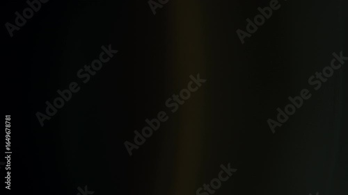 Cinematic Lens Light Effect – Distinct optical glow from Takumar vintage lens glass.