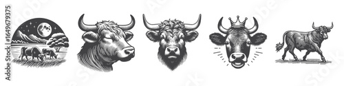Vintage Hand-Drawn Cattle Wearing Crown Illustration, Farm Animal Engraved Vector for Royal and T-Shirt Design