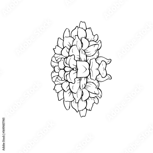 bouquet of flowers line art