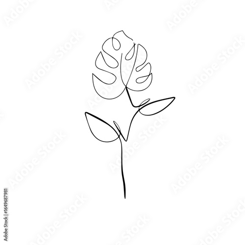 hand drawn flower line art