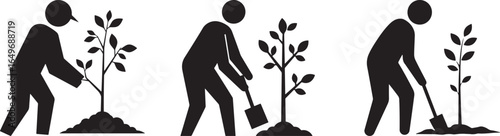 Three silhouettes illustrating the process of planting a sapling tree