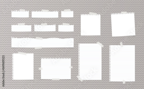 Set of Lined and Blank Notebook Papers with Torn Edges and Tape