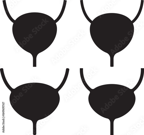 Four black silhouettes of human bladders with ureters and vas deferens