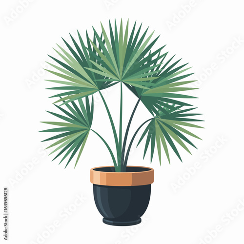 This elegant image features a vibrant palm plant in a chic decorative pot, perfect for enhancing any indoor space with a touch of nature and freshness.