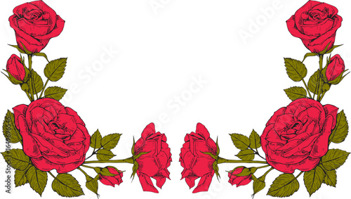 red rose frame