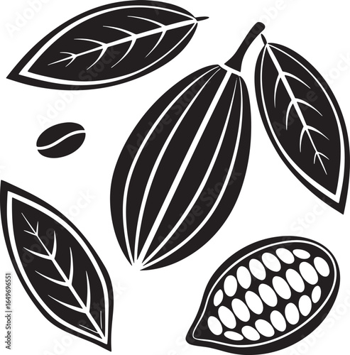 Cocoa Bean Plant, Leaves & Seeds