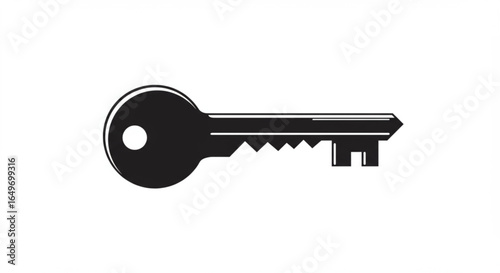 Black classic key on white, security, access