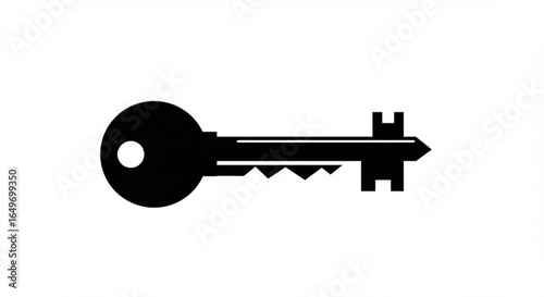 Black silhouette key on white background, security, access