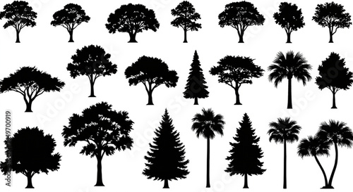 Black tree silhouettes of various species on a white background, nature