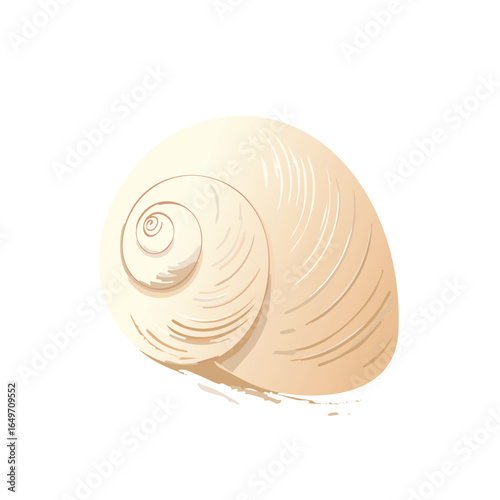 Beige seashell on black