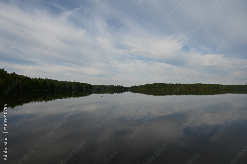 Obraz premium reflection of trees in water