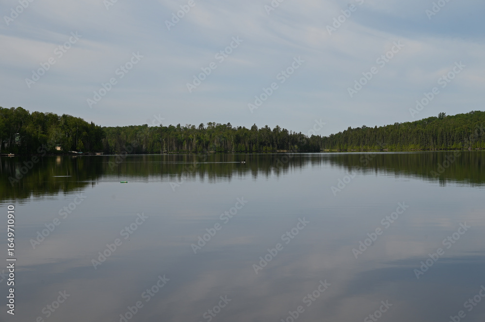 Fototapeta premium reflection of trees in water