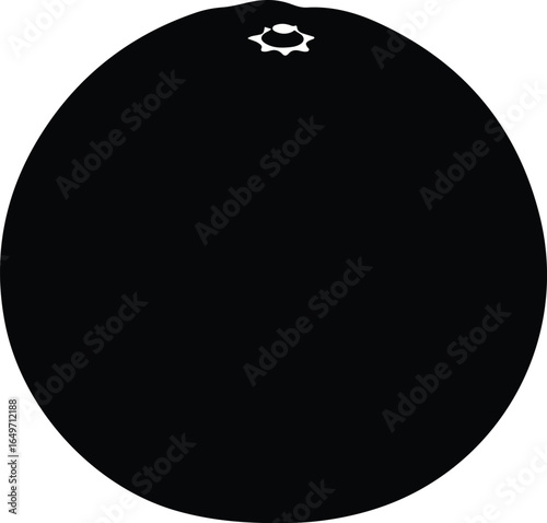 Black Silhouette of a Single Orange Fruit.