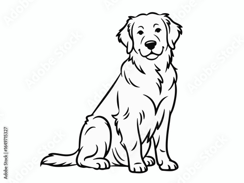 Vector art of a golden retriever sitting and looking at the camera isolated on white background, a cute and adorable pet with a happy expression isolated on transparent background