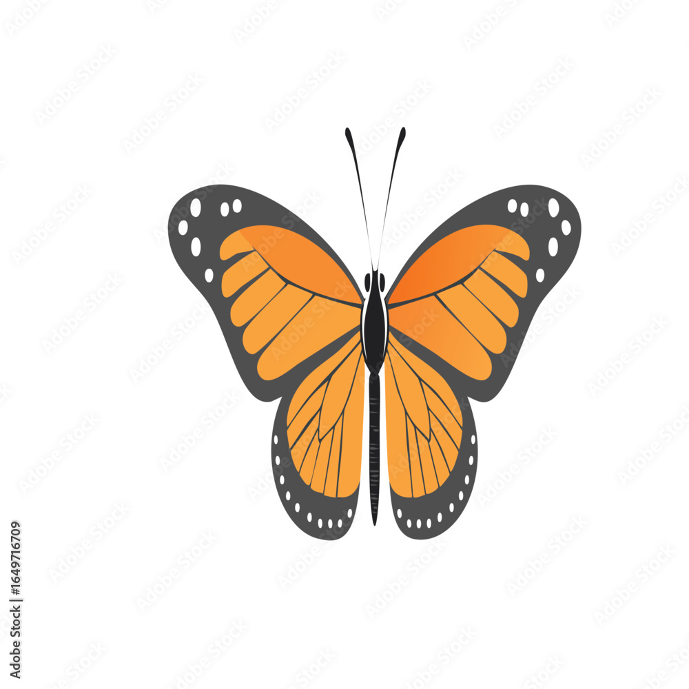 Obraz premium Orange butterfly on black