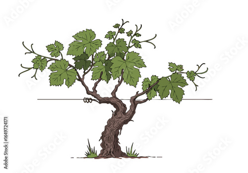 Elegant  grape vine showcasing its legacy stylized detailed depiction of a grapevine with lush green leaves set against a soft pink background Perfect for wine agriculture or nature themes