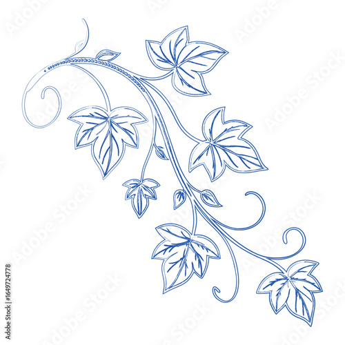 Elegant ivy vine sketch. Hand-drawn botanical illustration of a climbing plant with leaves and swirls. Decorative floral vector element for a logo or print.