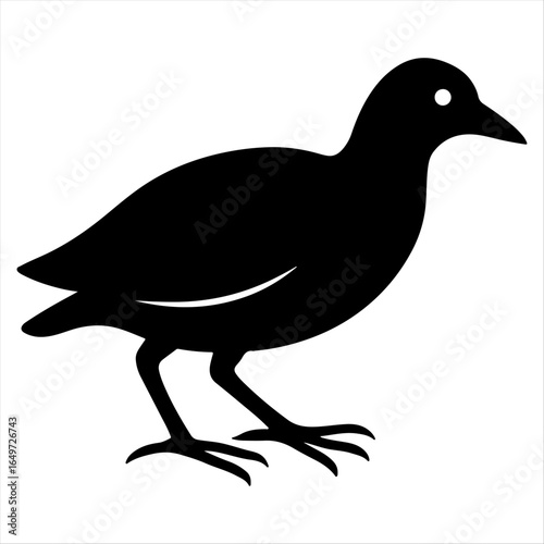 Water Hen Design Icon.