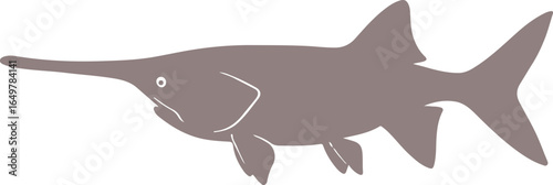 Paddlefish illustration for banner and advertisement