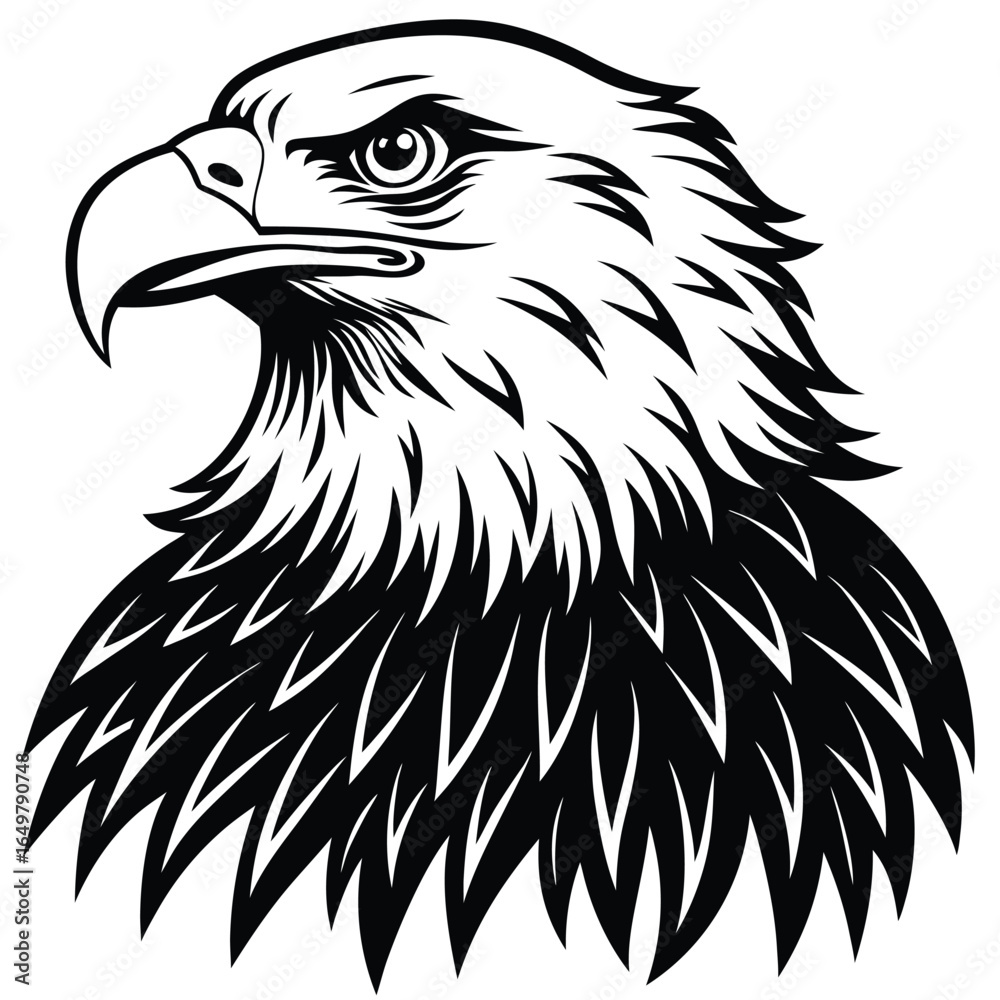 Obraz premium Bald Eagle Silhouette