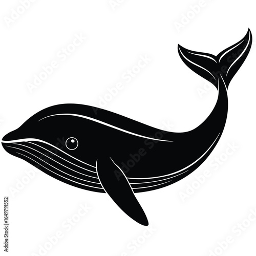 Blue Whale Silhouette
