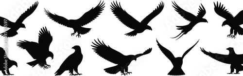 Eagle silhouette set, flying and perched birds, raptor wings spread, majestic bird of prey, wildlife, nature, black and white