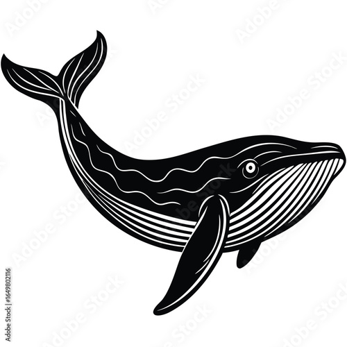 Humpback Whale Silhouette